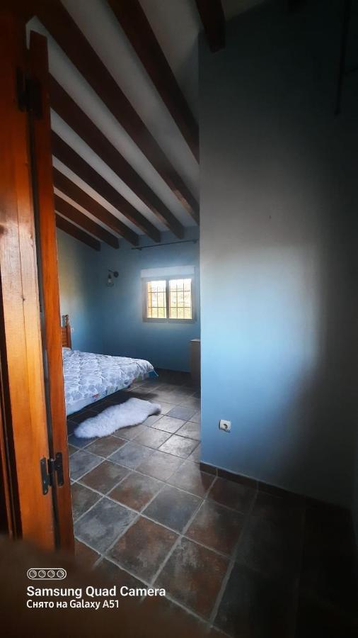 A Room In A Private Villa トレリャノ エクステリア 写真